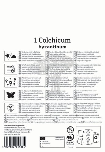 2650012/8104 Ocún byzantský 1ks