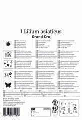 2750000/7503 Lilie Grand Cru 1ks