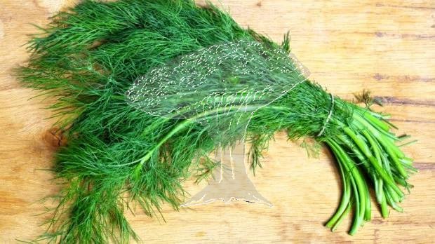 Kopr jemný svazek cca. 100g