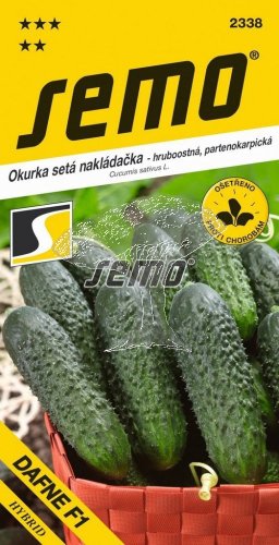 423382 Okurka Dafne F1 1,5g / 1807