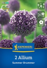2700001/7104 Okrasný česnek Summer-Drummer 2ks