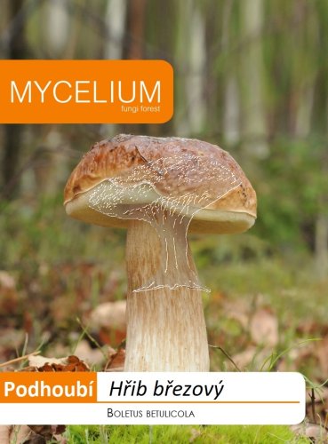 Hřib březový 10g - podhoubí