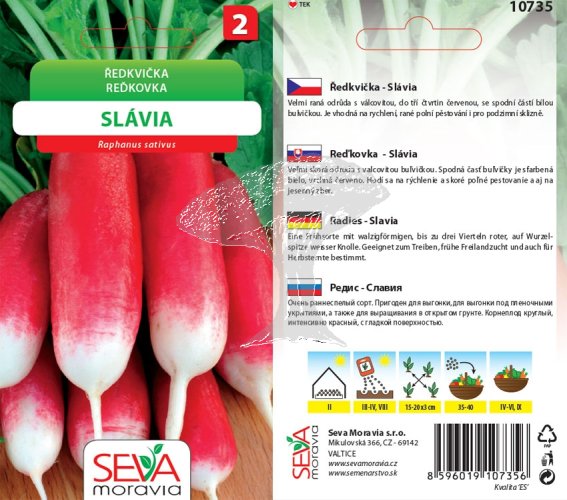 10735 Ředkvička Slávia 5g / 2803