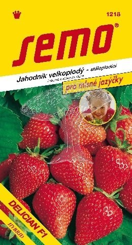 412182 Jahodník Delician F1 12s / 1206