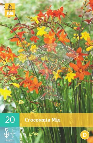 852222/8601 Montbrécie (Crocosmia) drobnokvětá směs 20ks