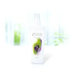 E3093 Prostorové aromatikum Black Grape 150ml