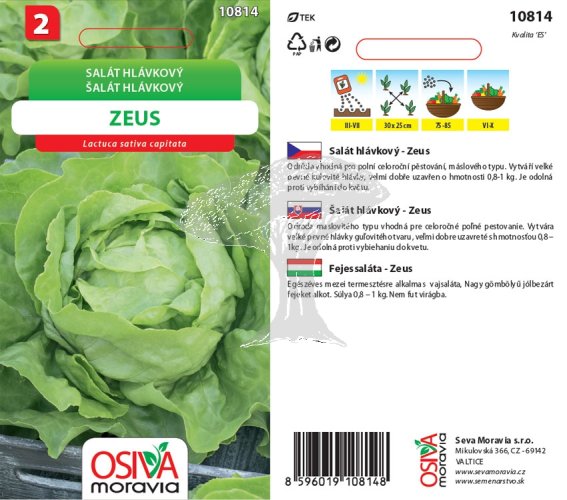 10814 Salát hlávkový letní Zeus 0,3g / 3106