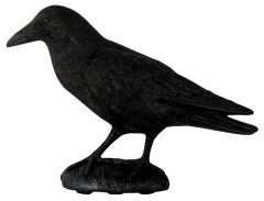 Maketa havrana stojící CH6245
