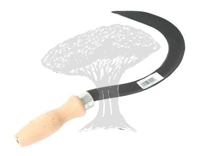 Srp