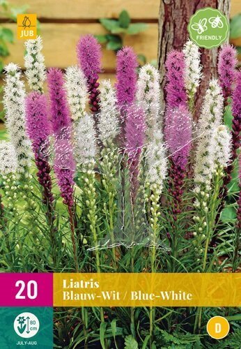 851300/99 Šuškarda klasnatá (Liatris) směs 20ks