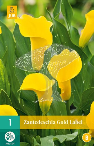 851338/8201 Kala Gold Label 1ks