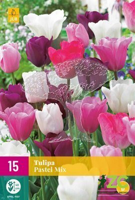 850683/8506 Směs tulipánů Sorbet směs 12ks