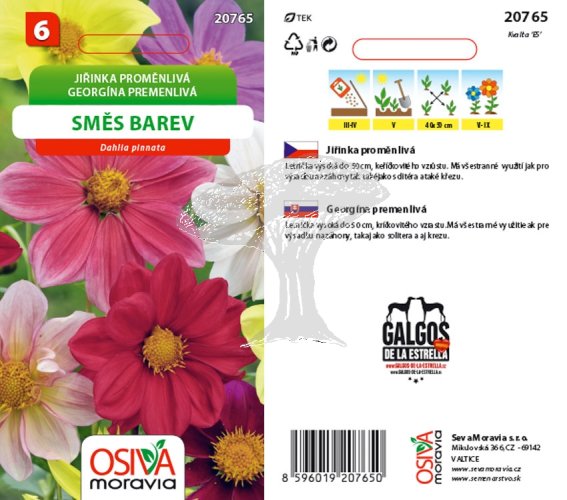 20765 Jiřinka proměnlivá směs barev 0,8g / 4201