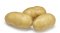 Sadba brambor IMPALA (pytel 25kg)