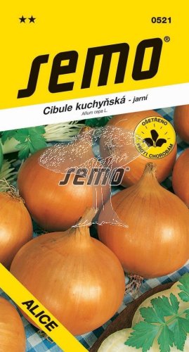 405212 Cibule ALICE ŽLUTÁ 2g / 1109