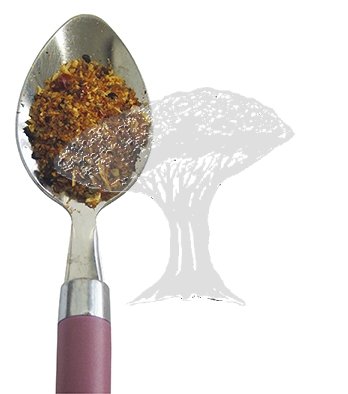 Grilovací koření na rožnění 500g