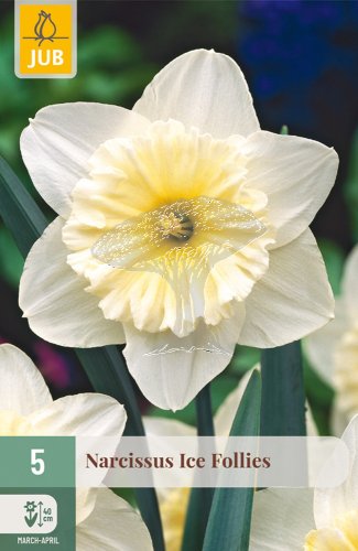 850262/7504 Narcisy Ice Follies 5ks