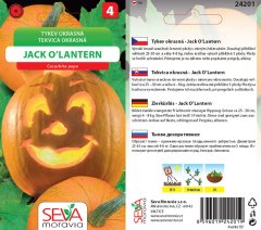 24201 Okrasné tykv. Jack O'Lantern 10s /D100