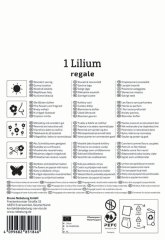 2750004/7504 Lilie Regale 1ks