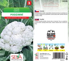 10345 Květák podzimní 0,4g / 1409