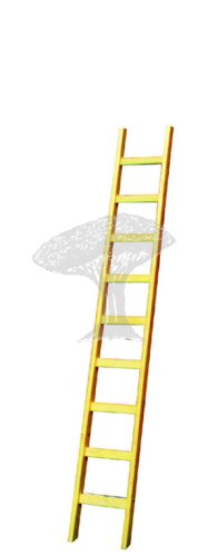 Žebřík dřevěný opěrný 3m