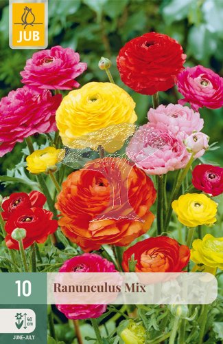 852745/7602 Pryskyřník pivoňkokvětá směs 10ks