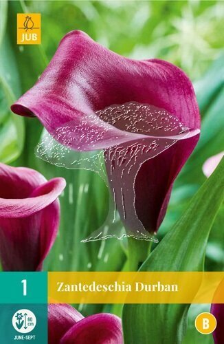 851277/8108 Kala Durban 1ks