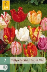 850339/8305 Tulipány papouškovité směs 7ks