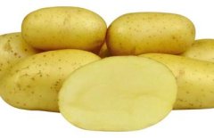 Sadba brambor COLETTE (balení 5kg)