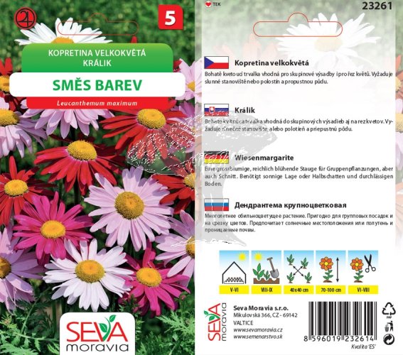23261 Kopretina velkokvětá směs  0,2g / 4203