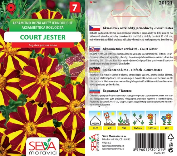 20121 Aksamitník Court Jester 0,3g / 3904