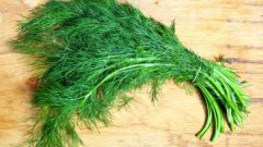 Kopr jemný svazek cca. 100g