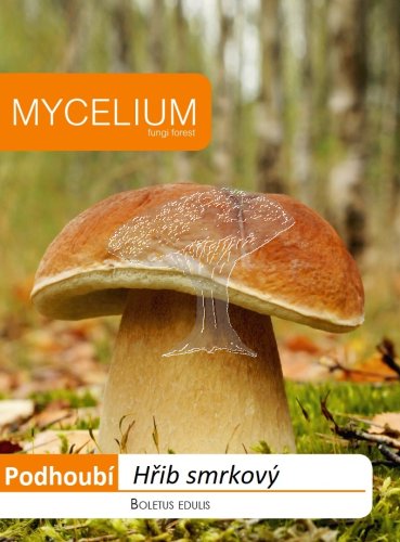 Hřib smrkový 10g