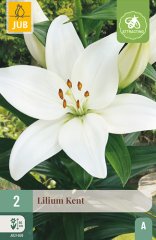 851093/8208 Lilie Kent 2ks
