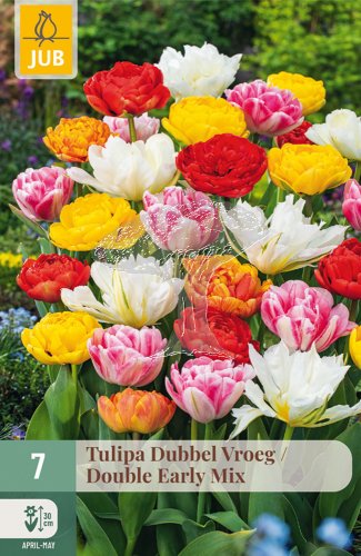850243/8208 Tulipány plnokvěté rané směs 7ks