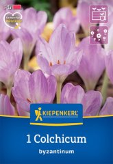 2650012/8104 Ocún byzantský 1ks