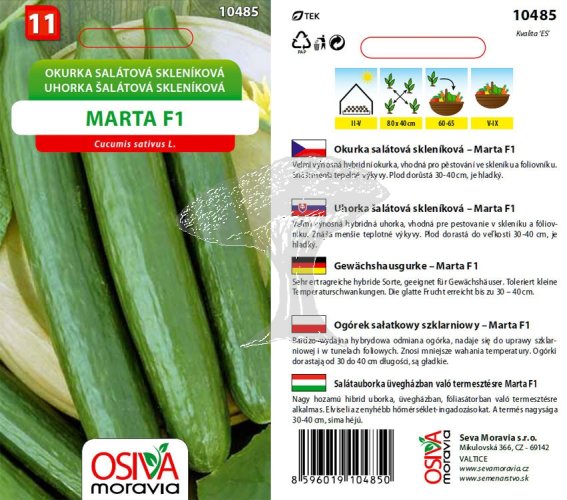 10485 Okurky F1 Marta 10s / 1906