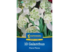 2775017/8401 Sněženky plnokvěté 10ks