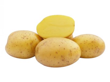 Sadbové brambory - Objednávejte na rozvozy od 19. října
