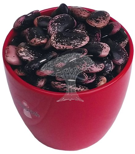 Fazole barevné velké 5kg VELKÉ BALENÍ