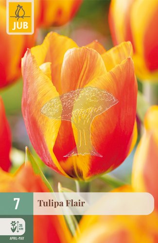 850238/8206 Tulipány Flair 7ks