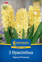 2600003/7203 Hyacinty Gipsy Princess 3ks